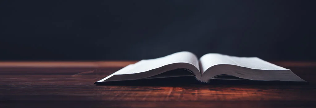 How to Write a Winning Book Description